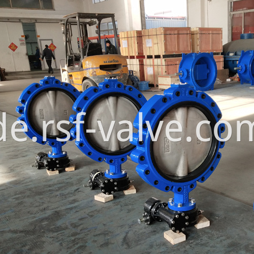 Fully Lug Concentric Butterfly Valve